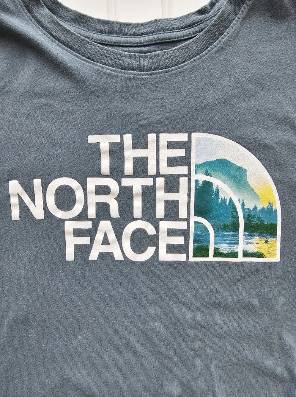 The North Face T-Shirt Gray Green Crew Neck Logo‎ Outdoors Casual Men's Size M